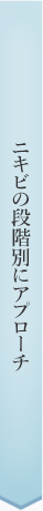 ニキビの段階別にアプローチ